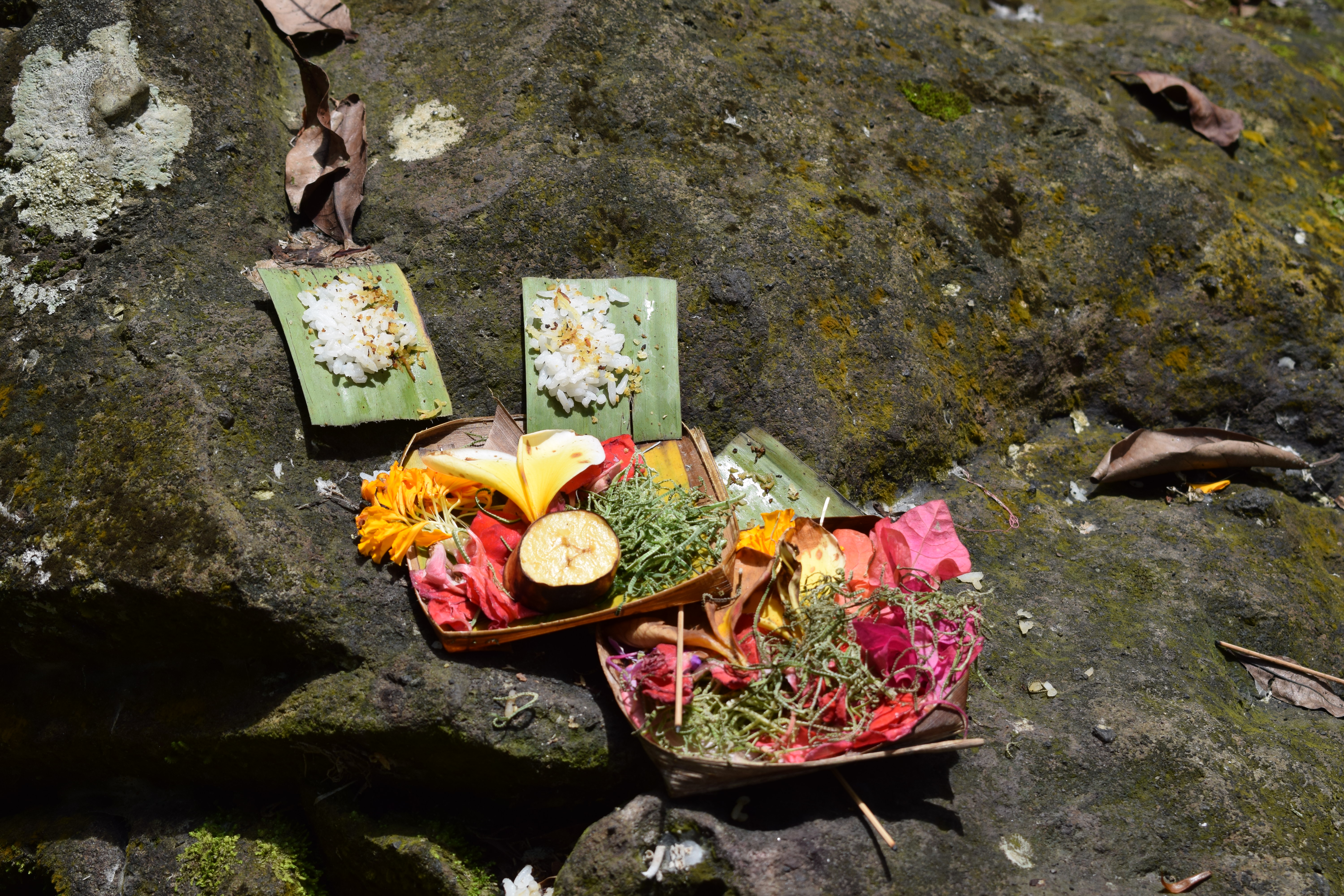 Offering Platter in Ubud Bali