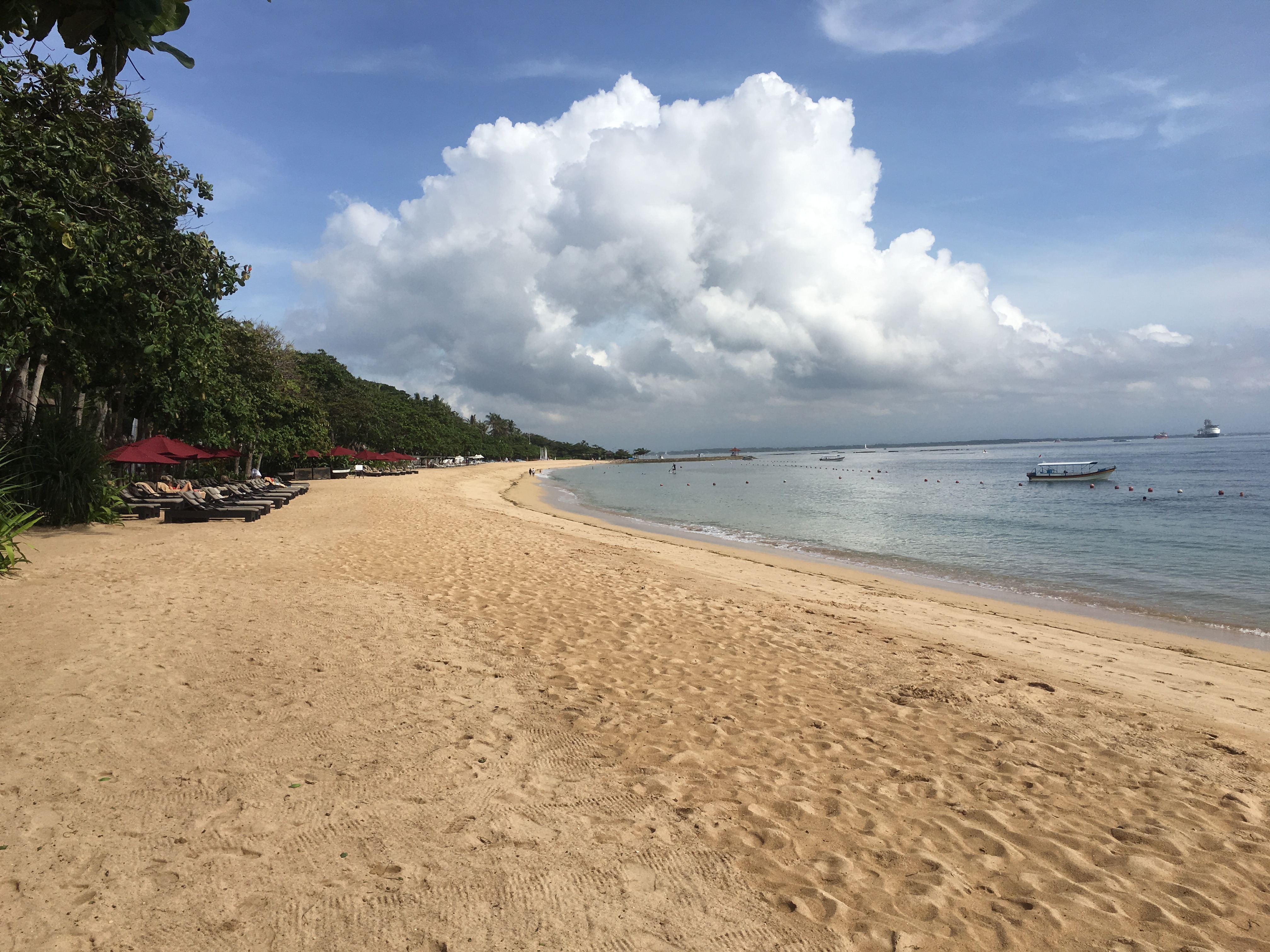 Nusa Dua Beach View at The Laguna Luxury Collection Resort