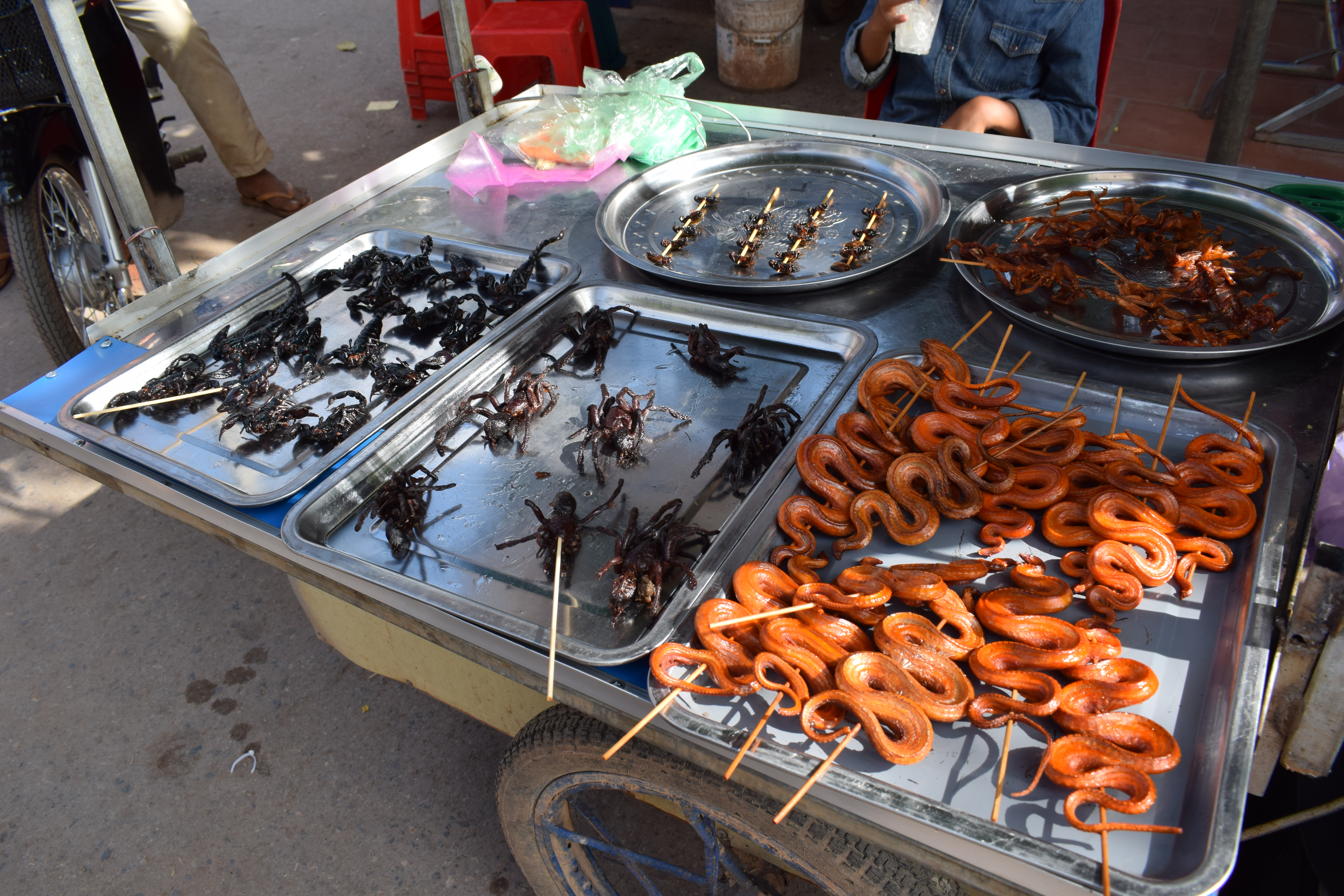 Food Street Vendor Selling Snakes Scorpions and Tarantulas in Siem Reap Cambodia