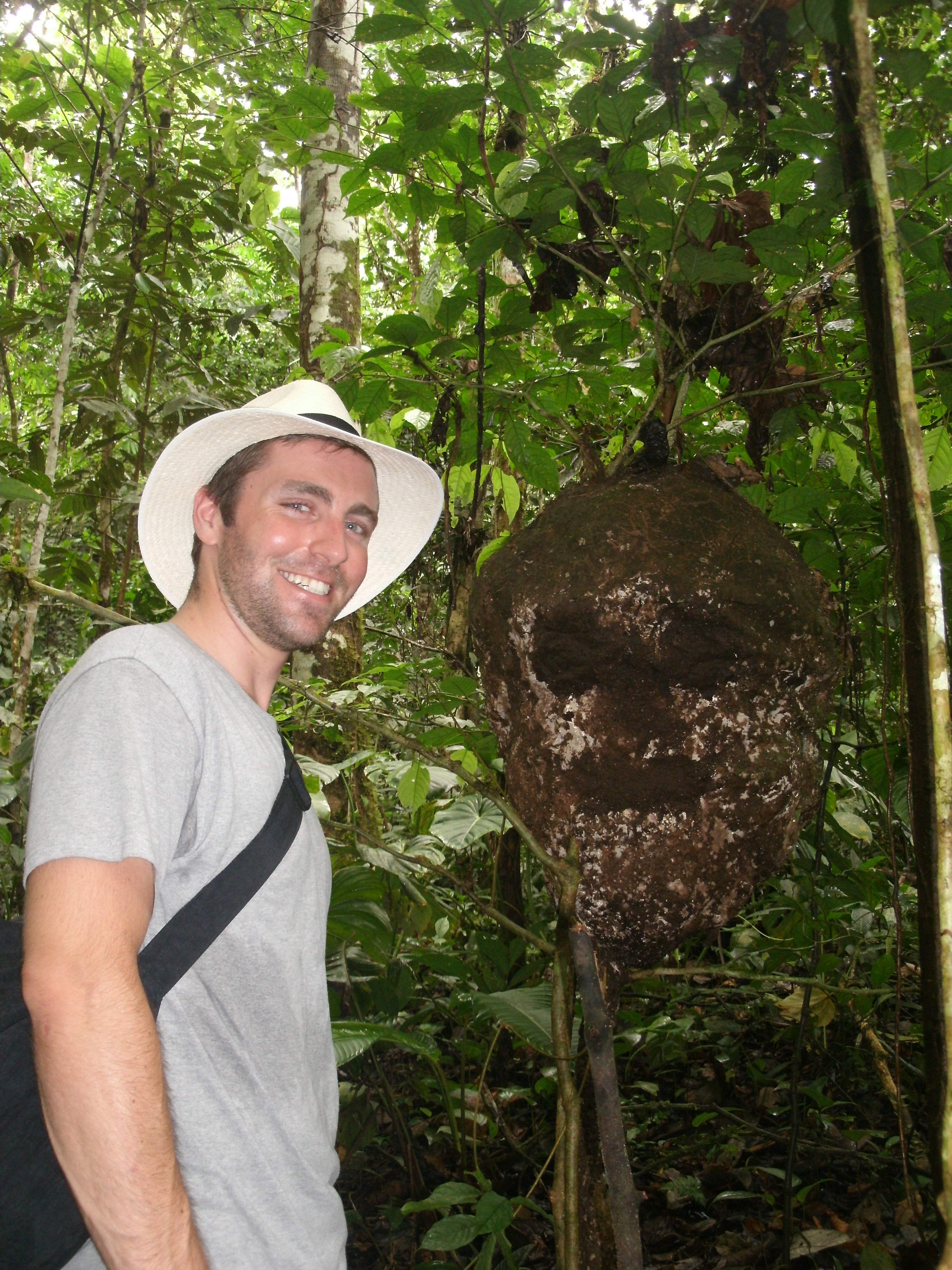 Man Next to Large Termite Nest Amazon Rainforest