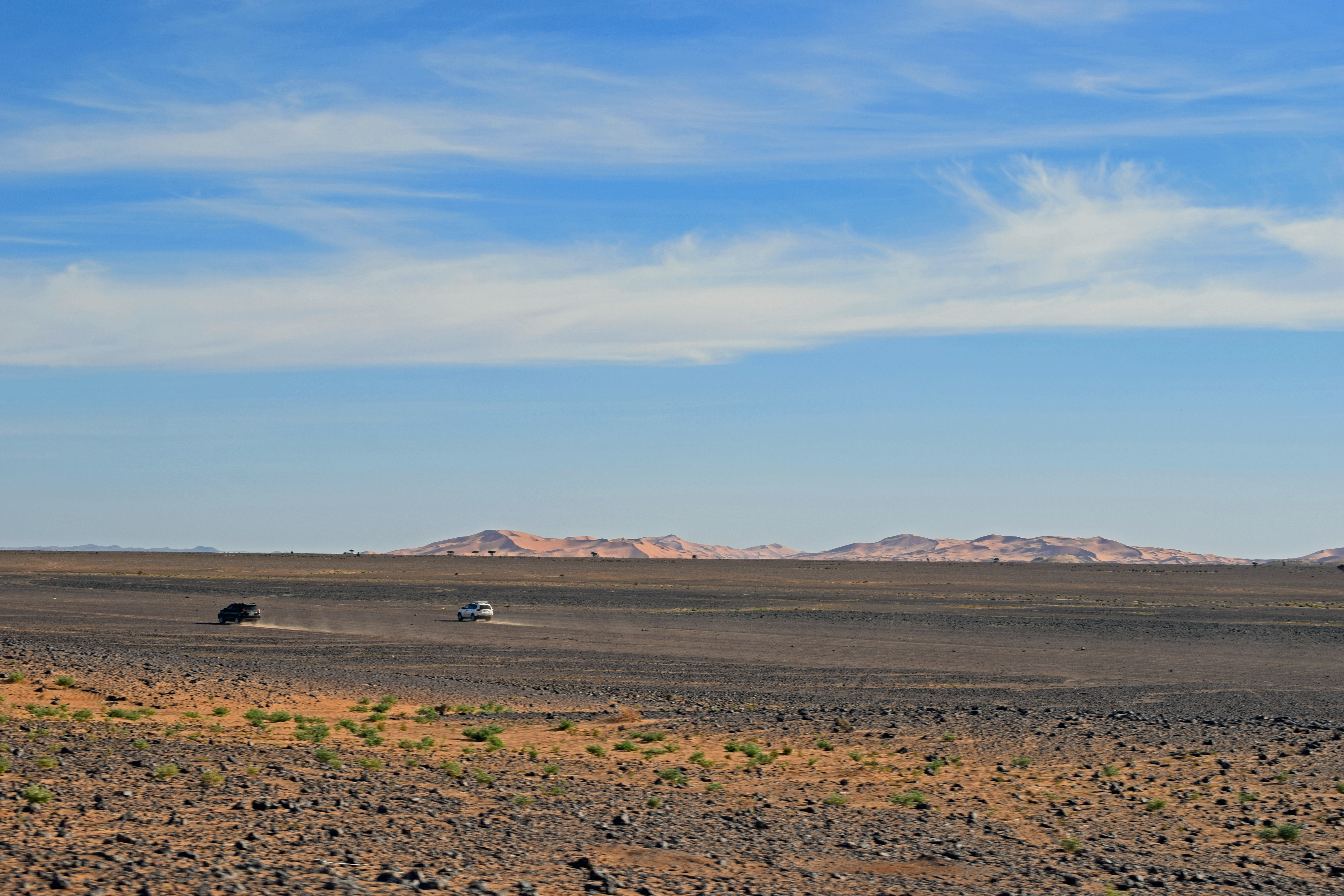 Two Vehicles Driving in the Sahara Desert