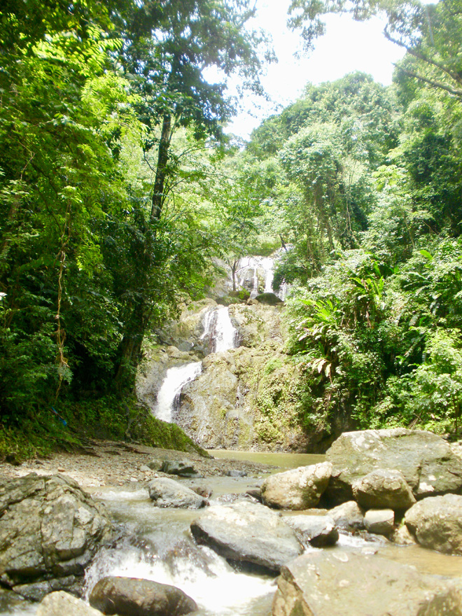 Argyle Falls Waterfall in Tobago