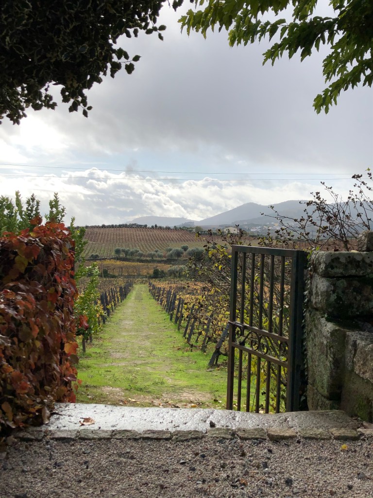 Iron Gate Leading to Vineyard in Douro Valley Portugal