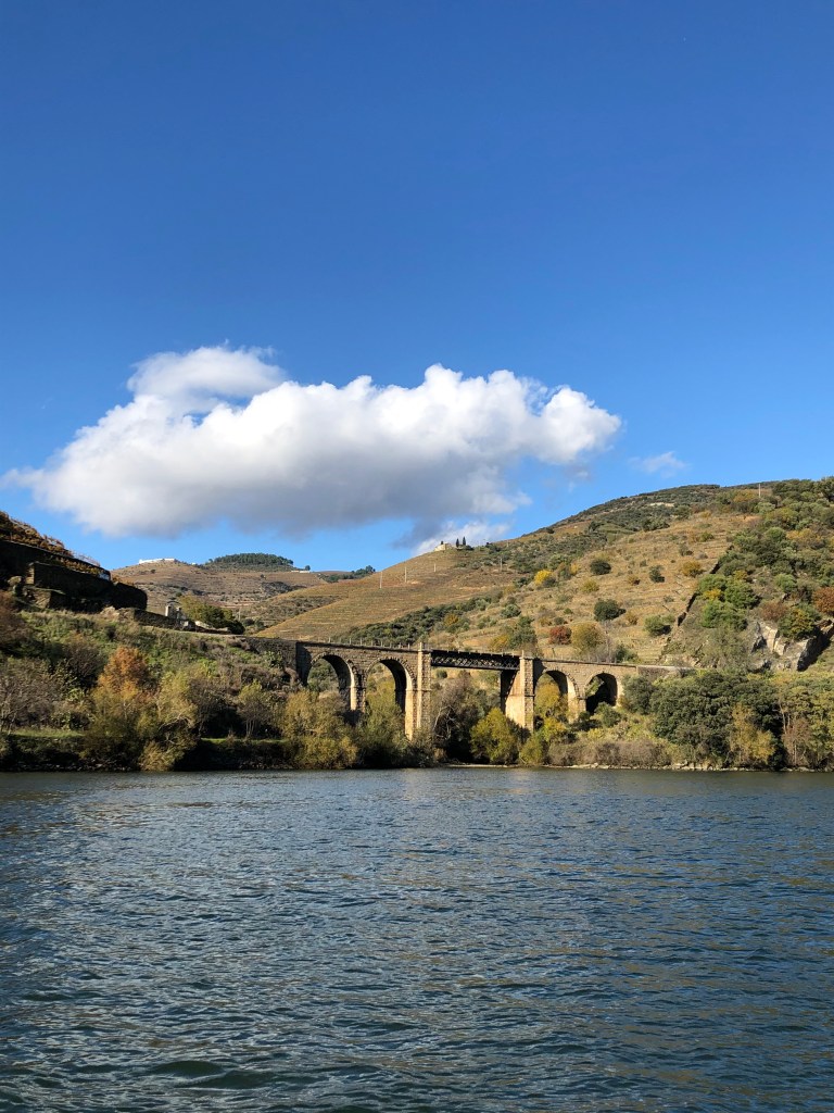 Stone Bridge View from Boat Ride on Douro River