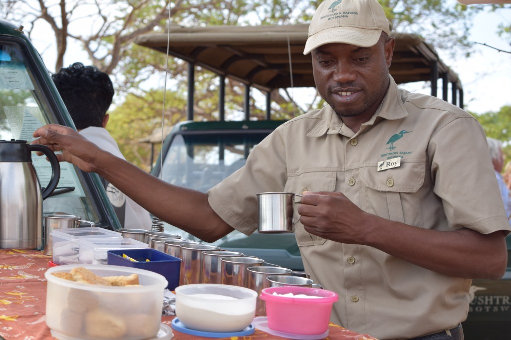 Safari Guide Serving a Bush Breakfast in Chobe National Park Botswana